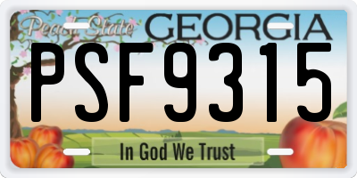 GA license plate PSF9315