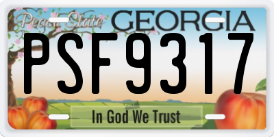 GA license plate PSF9317