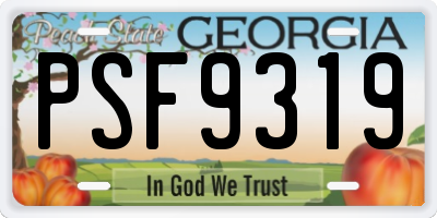 GA license plate PSF9319