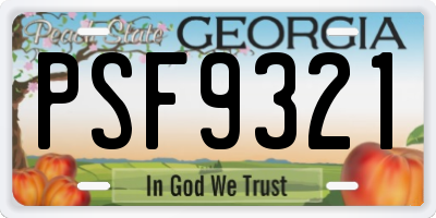 GA license plate PSF9321