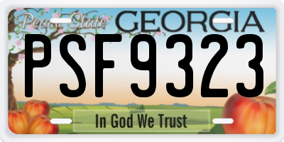 GA license plate PSF9323