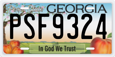 GA license plate PSF9324