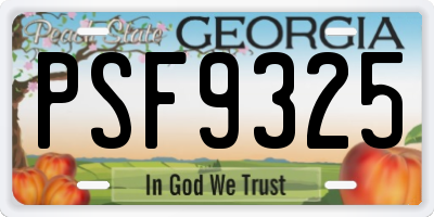 GA license plate PSF9325