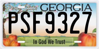 GA license plate PSF9327