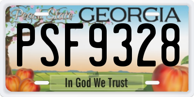 GA license plate PSF9328