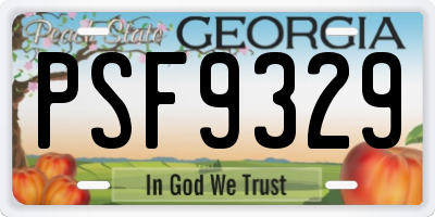 GA license plate PSF9329