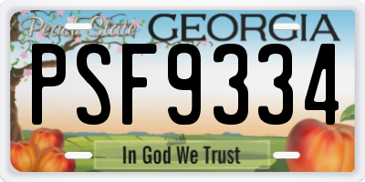 GA license plate PSF9334