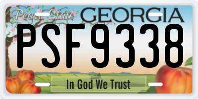 GA license plate PSF9338