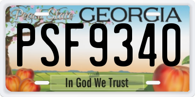 GA license plate PSF9340