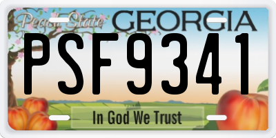 GA license plate PSF9341