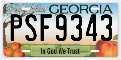 GA license plate PSF9343