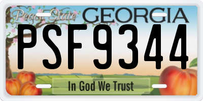 GA license plate PSF9344