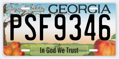GA license plate PSF9346