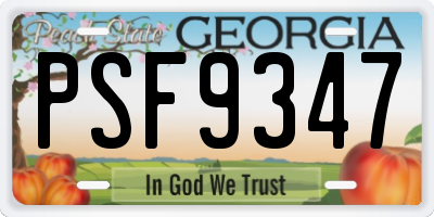 GA license plate PSF9347