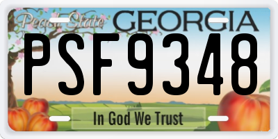 GA license plate PSF9348