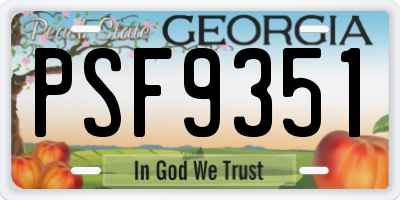 GA license plate PSF9351