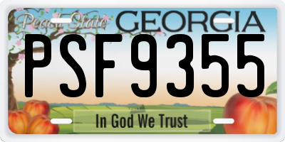 GA license plate PSF9355