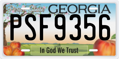 GA license plate PSF9356