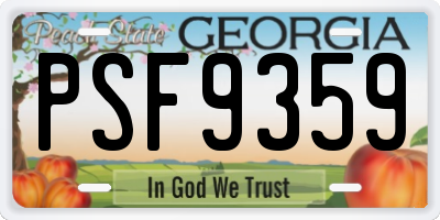 GA license plate PSF9359