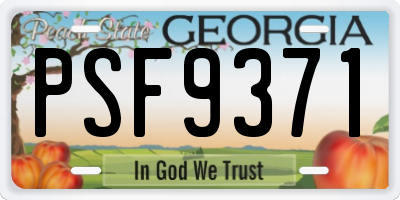 GA license plate PSF9371