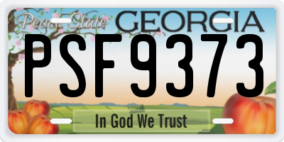 GA license plate PSF9373