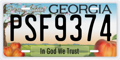 GA license plate PSF9374