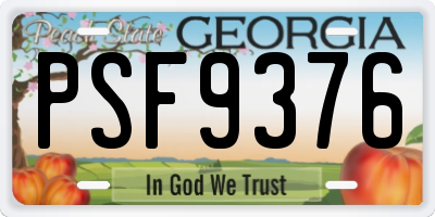 GA license plate PSF9376