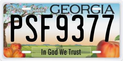 GA license plate PSF9377