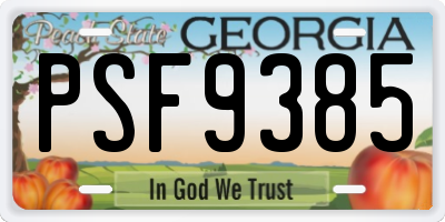 GA license plate PSF9385