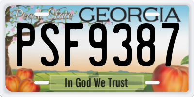GA license plate PSF9387