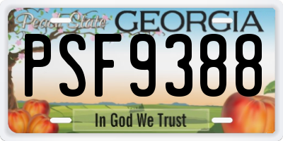 GA license plate PSF9388