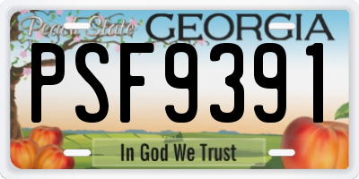 GA license plate PSF9391