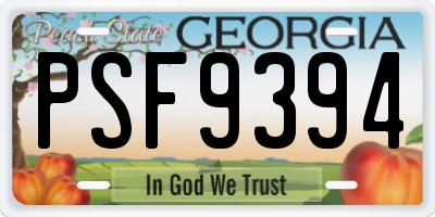 GA license plate PSF9394