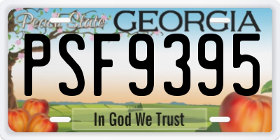 GA license plate PSF9395