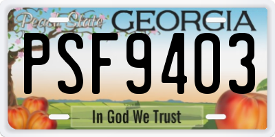 GA license plate PSF9403