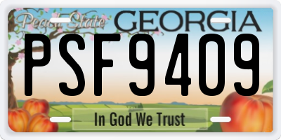 GA license plate PSF9409