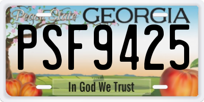 GA license plate PSF9425