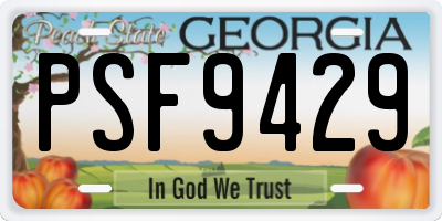 GA license plate PSF9429