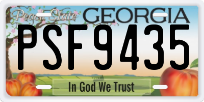 GA license plate PSF9435