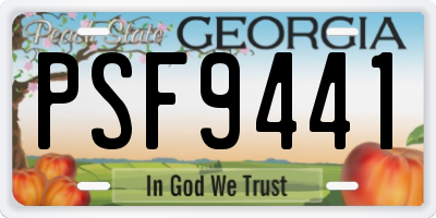 GA license plate PSF9441