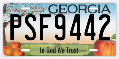GA license plate PSF9442