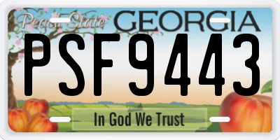 GA license plate PSF9443