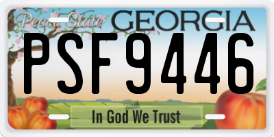 GA license plate PSF9446