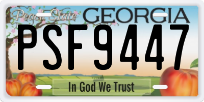 GA license plate PSF9447