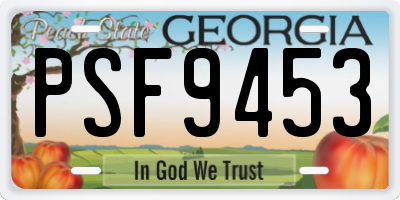 GA license plate PSF9453