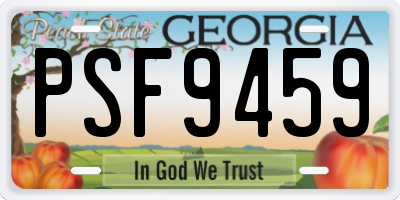 GA license plate PSF9459