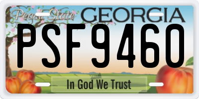 GA license plate PSF9460