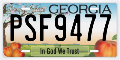 GA license plate PSF9477