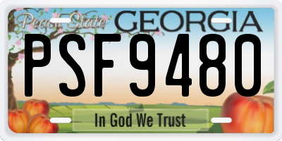 GA license plate PSF9480