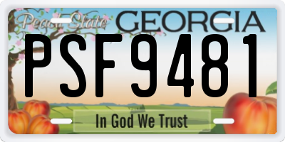 GA license plate PSF9481